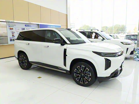 2025�� 205km Pro+�����״��