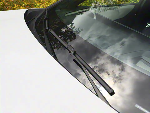 2025�� ����200 Max