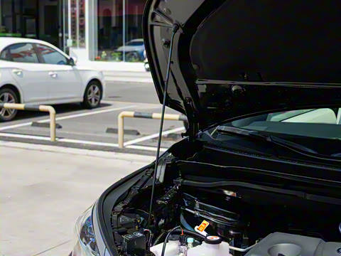 2026�� 2.5L ˫������������