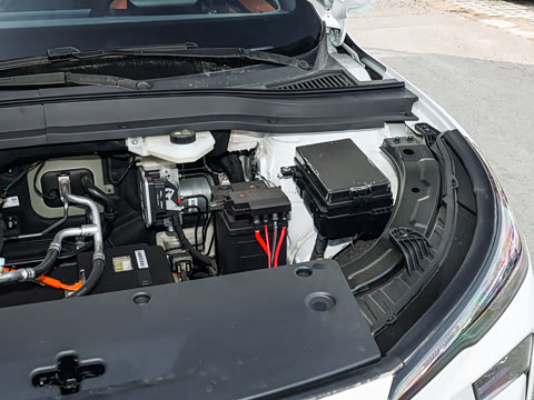 2026�� 565km ������