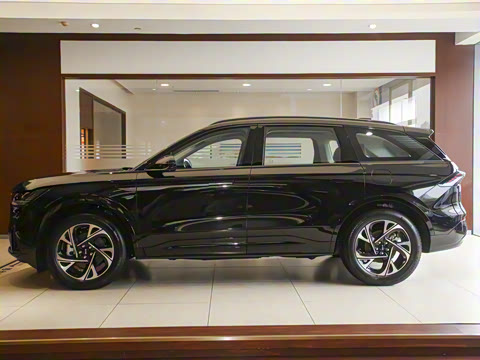 2025�� �Ŀ� 2.0T �������ݻ춯��