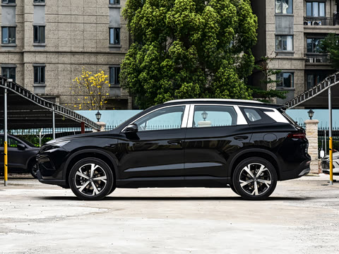 2026�� DM-i 220KM��Խ��