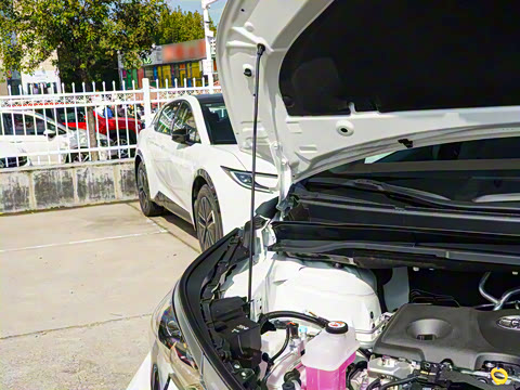 2026�� 2.5L�춯 ���MAX������