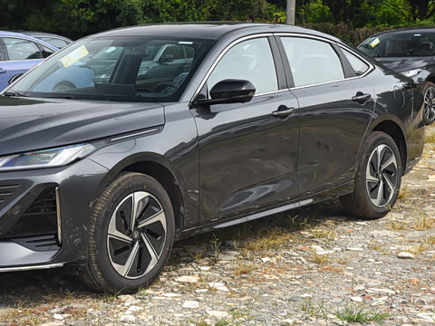2026�� 1.5L �������� ������