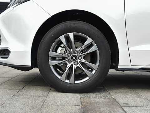 2027�� 2.5L ˫������������