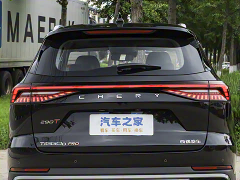 2025�� 290T ��������+