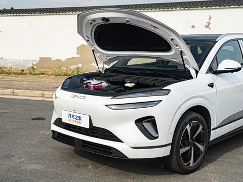 2026�� DM-i 310�콢��