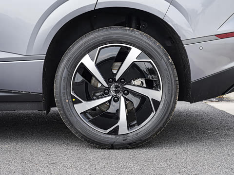 2026�� DM-i 310Զ����