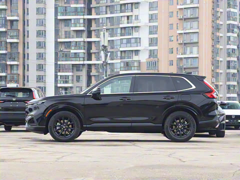 2026�� ȫ��30����ҫ�� 2.0L e:HEV ����������