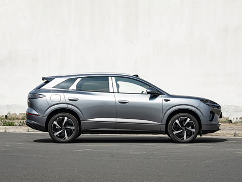 2026�� DM-i 310Զ����