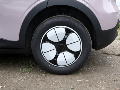 2026�� 310km ������