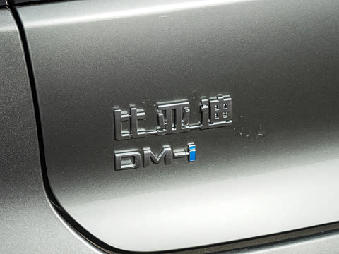 2025�� DM-i �Ǽݰ� 245KM�����