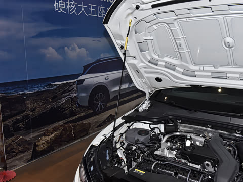 2026�� 300TSI R-Line