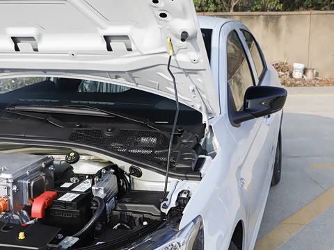 2026�� ������� �ֶ����ǽ̰� 300km