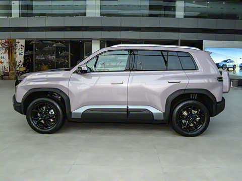 2025�� 501KM ����Max��