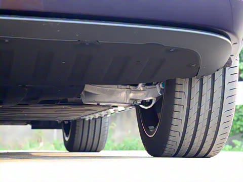 2026�� �������������