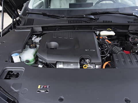 2026�� ������������Plus