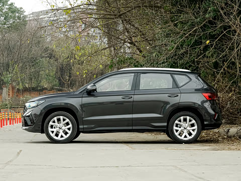 2026�� 280TSI �Զ�����Plus��