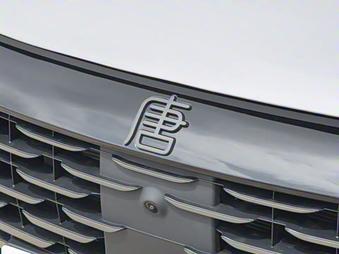 2025�� �Ǽݰ� DM-i 175KM �����