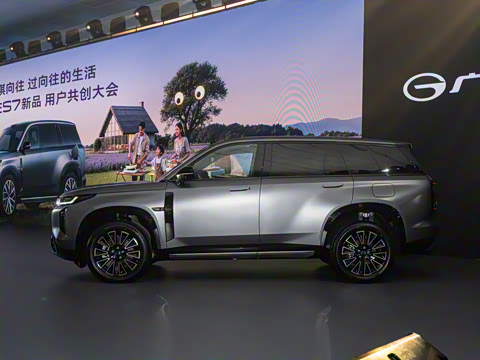 2025�� 205km Pro+�����״��