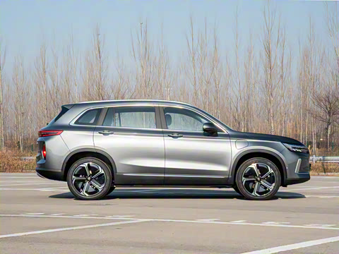 2026�� ��������