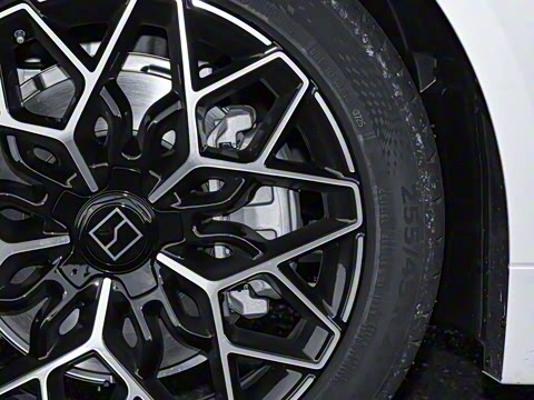 2026��   95������ Max��