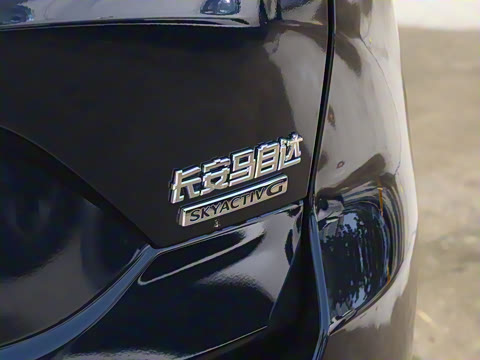 2025�� 2.0L �Զ���������Pro