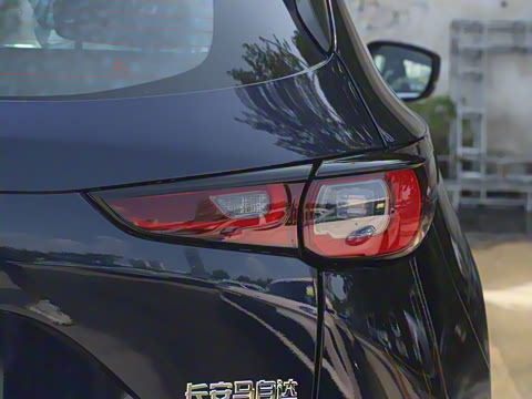 2025�� 2.0L �Զ���������Pro