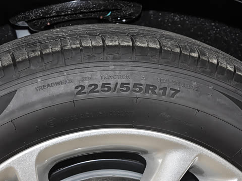 2025�� 25T ������