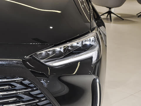 2025�� 25T ������