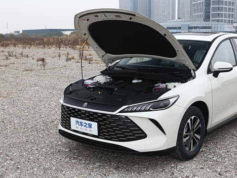 2026�� DM-i 210KM��ȡ��