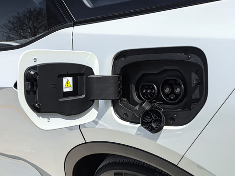 2026�� ������ JOY