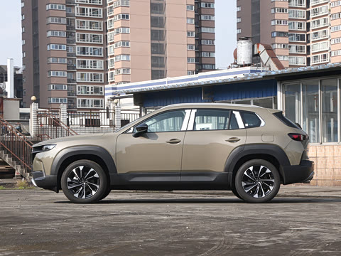 2026�� 2.5L ���а�