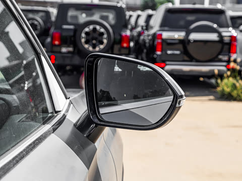 2026�� 9X 2.0T �Զ�����������