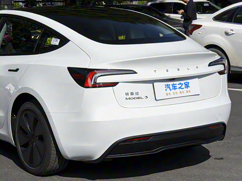 2025�� �Ŀ� ����������