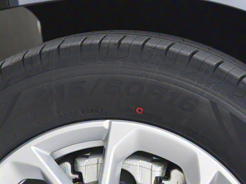 2026�� 125kmԶ����