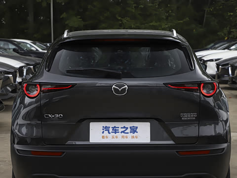 2025�� 2.0L �Զ�������