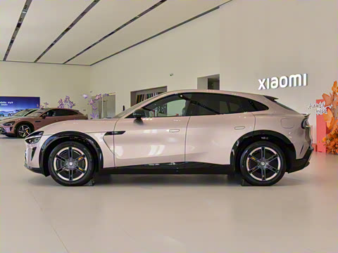 2025�� ������������Pro��