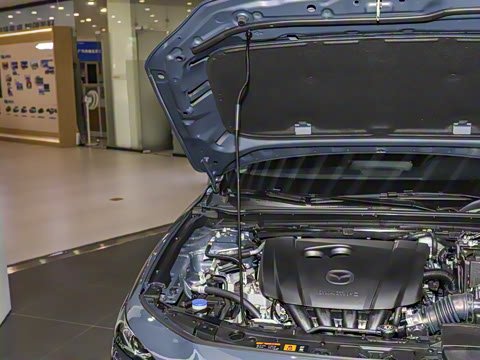 2025�� 2.0L �Զ����Ű�