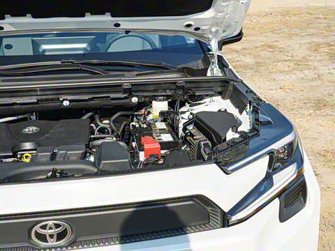 2026�� 2.0L ����������