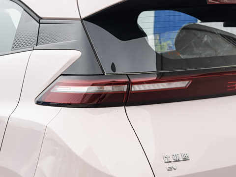 2026�� 305km ������