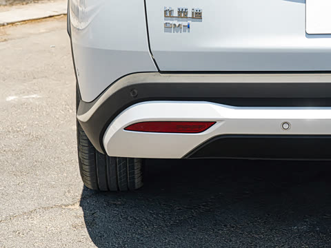 2026�� DM-i 310KM ��Խ��