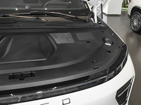 2025�� ���� 265 Max��������������ʻ