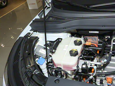 2025�� 565km ������