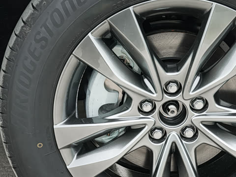 2026�� 2.5L ˫������������