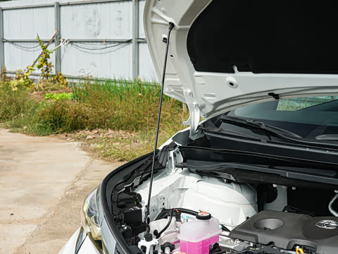 2026�� 2.5L�춯 ���PLUS��