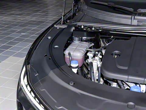 2026�� �����������̰� 310������