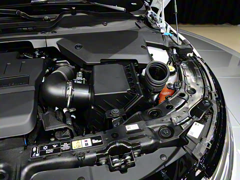 2021�� ����L P300e ������