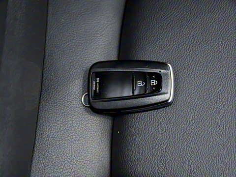 2021�� ˫�� 2.5L E-CVT������ӢPLUS��