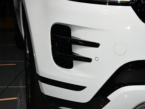 2021�� ����L P300e ������